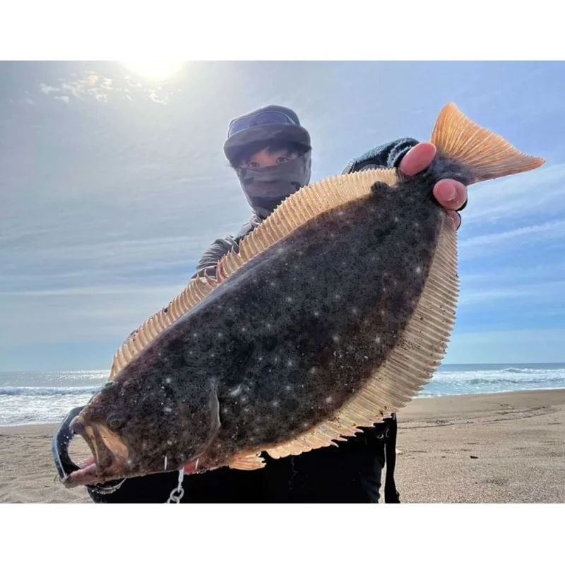 Джиг JACKALL Big Backer Jig 54mm 20g Sinking