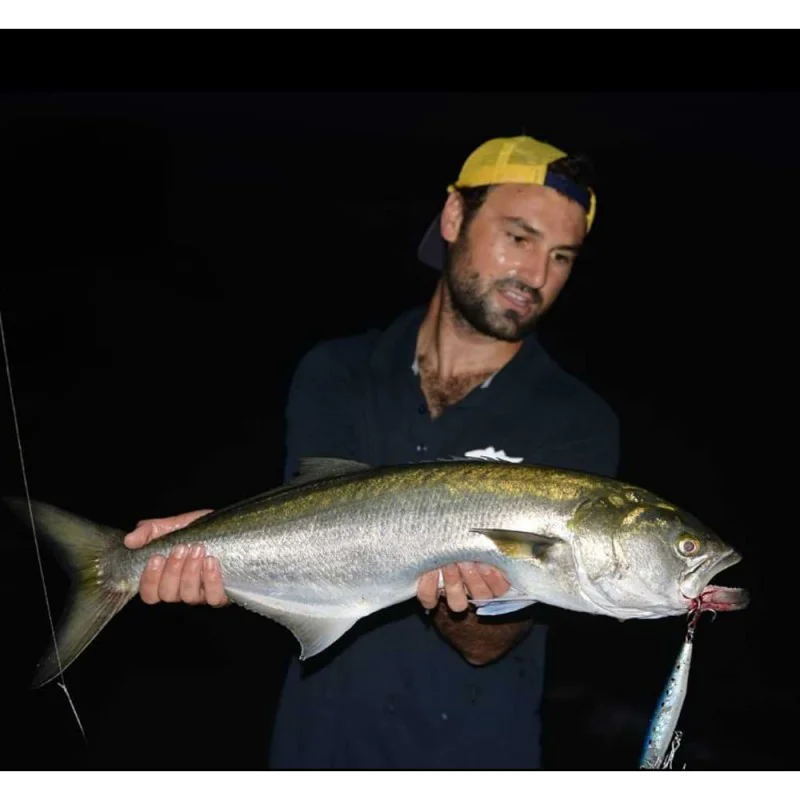 Попуолкър JACKALL Riser Bait 015P 150mm 75g Sinking