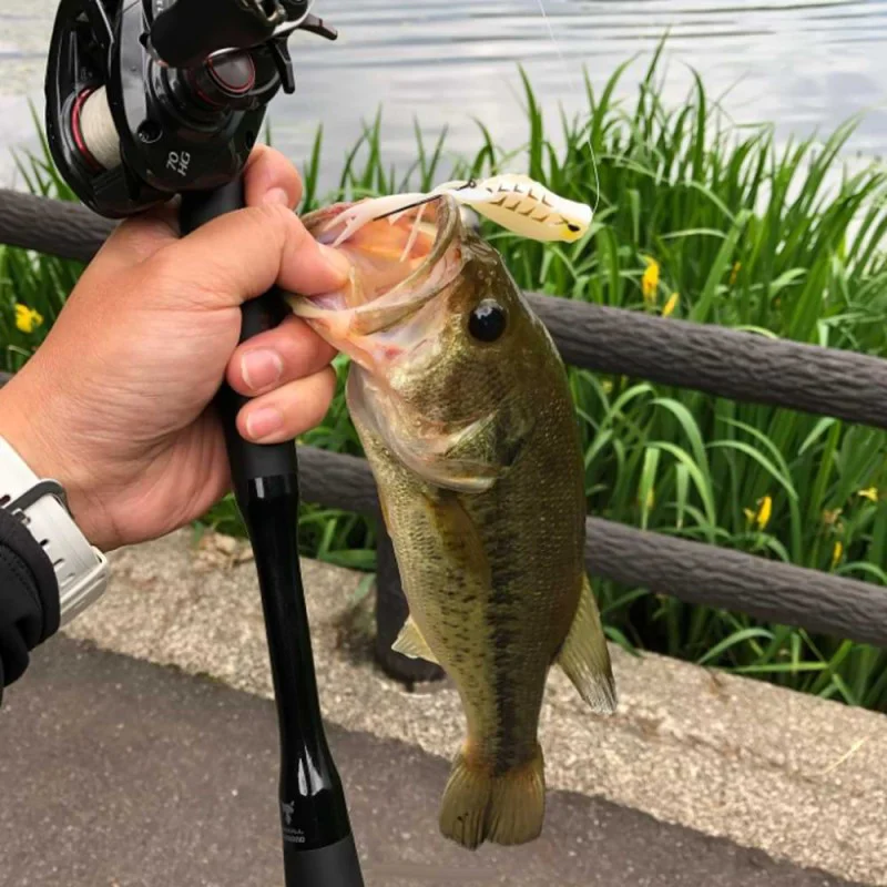 Силиконова примамка JACKALL Spin Gavacho 46mm 6.2g