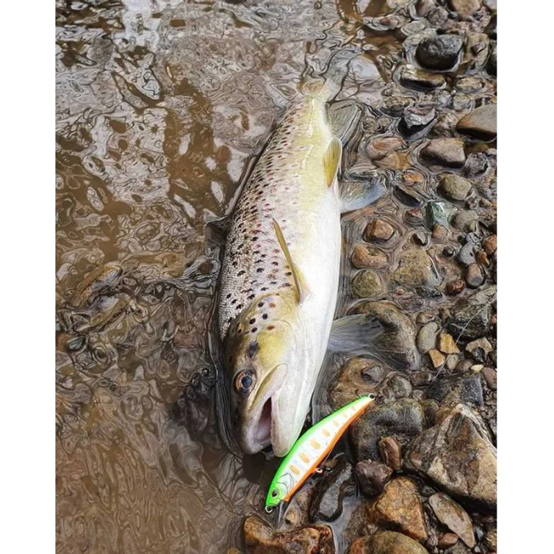 Воблер JACKALL Tricoroll Ryushin 63 HW 7g 63mm