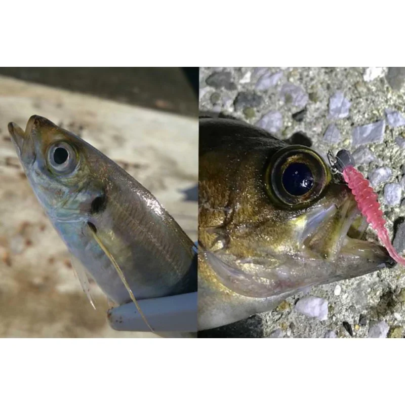 Силиконова примамка JACKALL Tidebeat 1.5 inch - 4cm