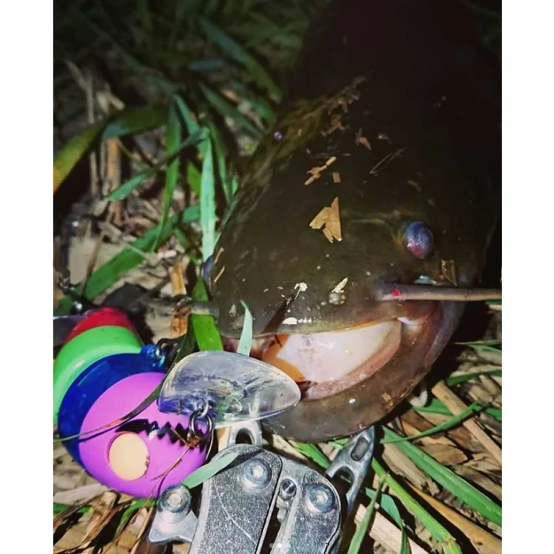 Воблер JACKALL Hige Prima 66mm 22g Floating