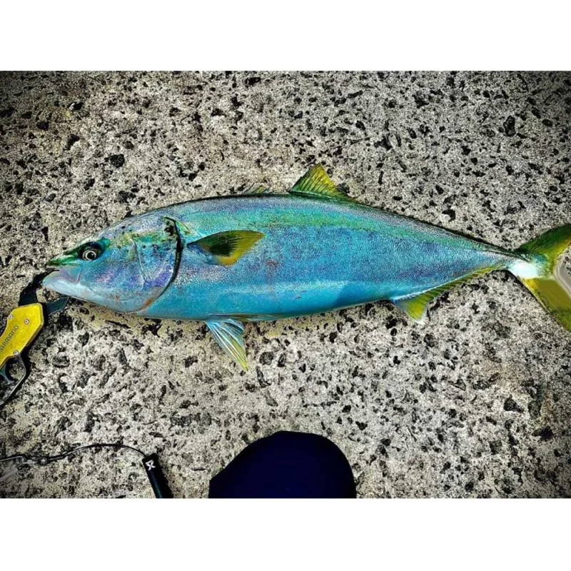 Воблер JACKALL Big Backer Riser 012SL 120mm 31.2g Sinking