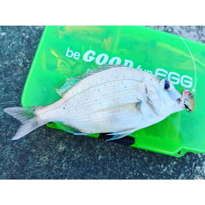 Цикада JACKALL NanoVib 2.0g