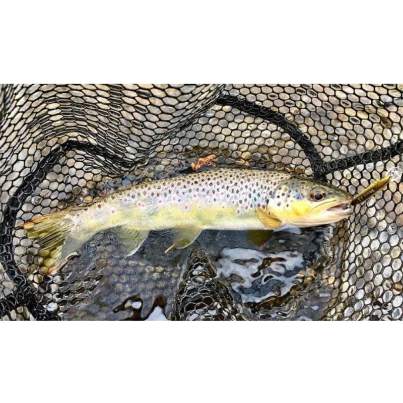 Воблер JACKALL Tricoroll Ryushin KNOCKER 53 HW 5.3g 53mm Sinking