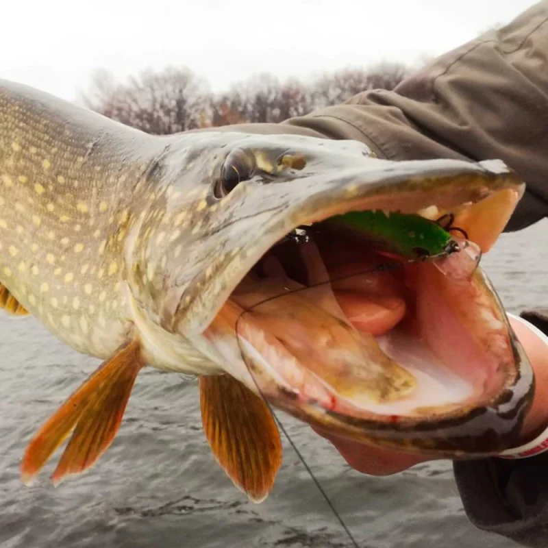 Воблер JACKALL Magallon 113SP 113mm 13.7g Suspending