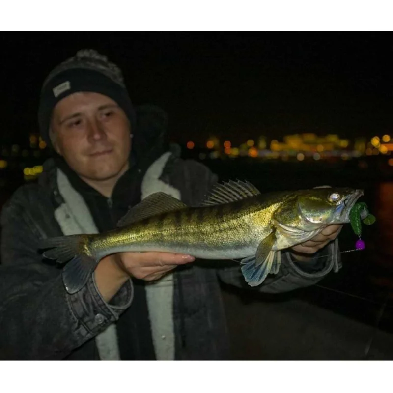 Силиконова примамка JACKALL Rhythm Wave 4.8 inch