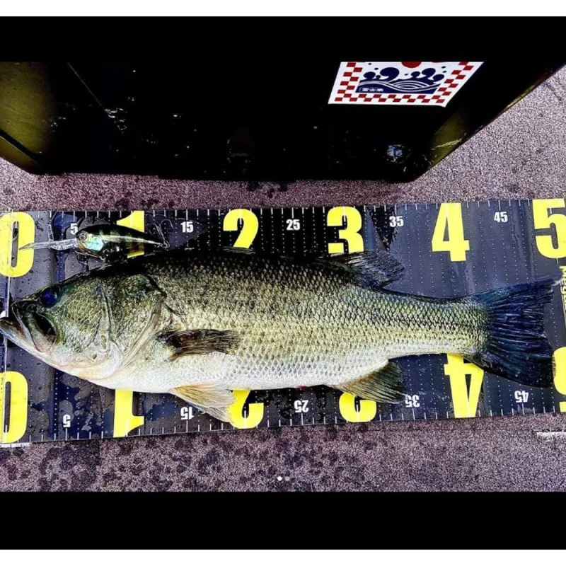 Воблер JACKALL Digle 5+ 74mm 26.2g Floating