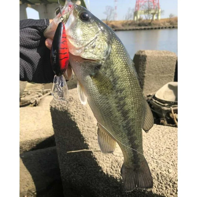 Воблер JACKALL Digle 3+ 66mm 16.4g Floating