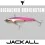 Джиг JACKALL Big Backer 107 BURI CUSTOM 107mm 43g Sinking