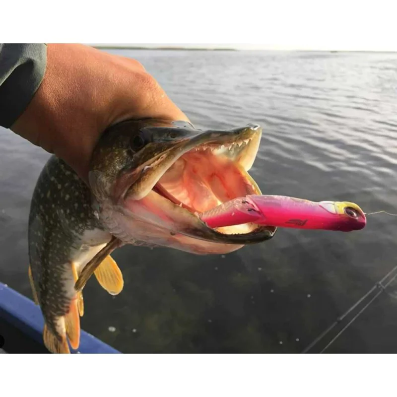 Воблер JACKALL Boil Trigger 77mm 5g Floating