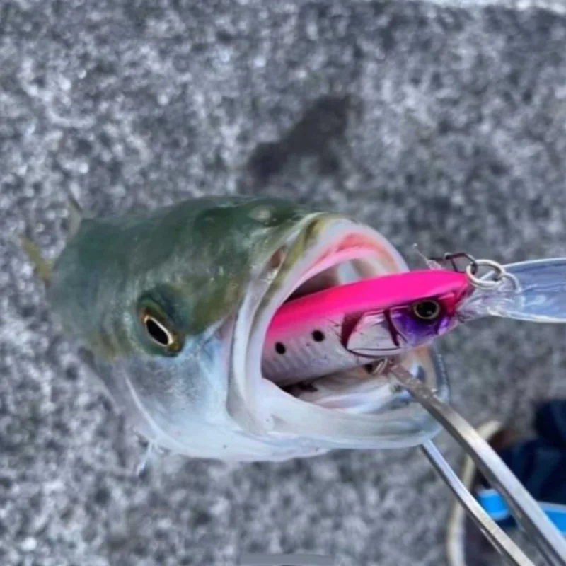 Воблер JACKALL Big Backer Wangan Minnow 128S-LB 128mm 27.2g Sinking