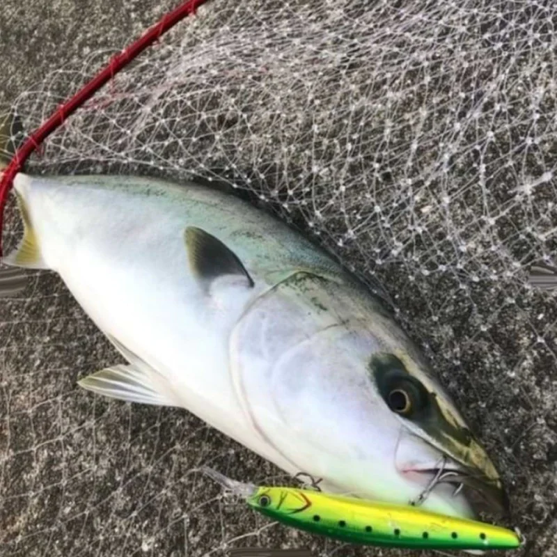 Воблер JACKALL Big Backer Wangan Minnow 128S-LB 128mm 27.2g Sinking