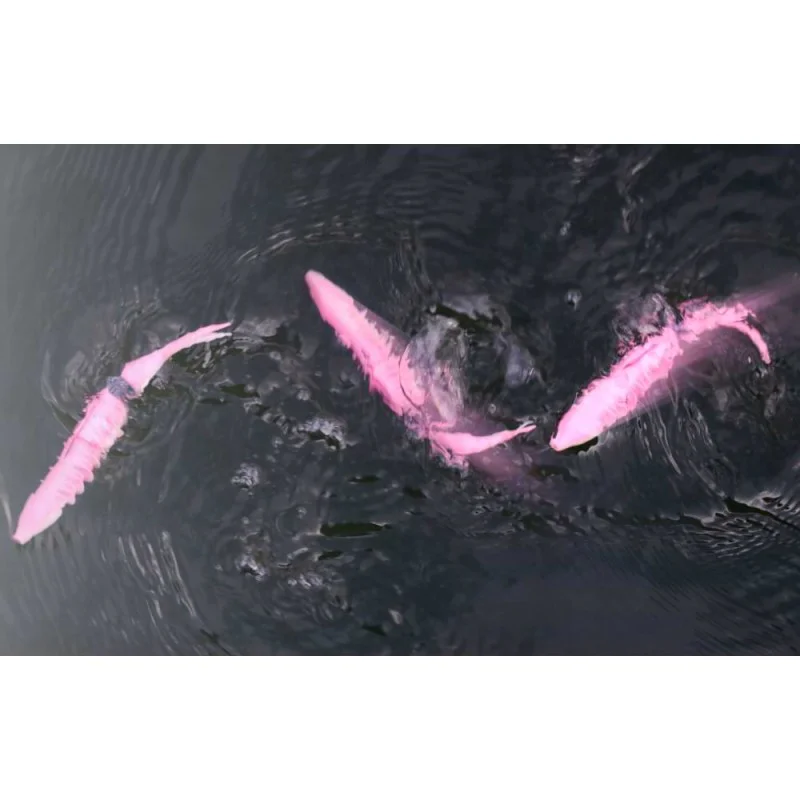 Силиконова примамка JACKALL Bounty Fish 158 158mm Floating