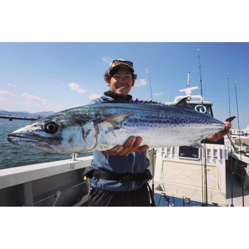 Воблер JACKALL Big Backer Anchopeed 103mm 42g FAST Sinking