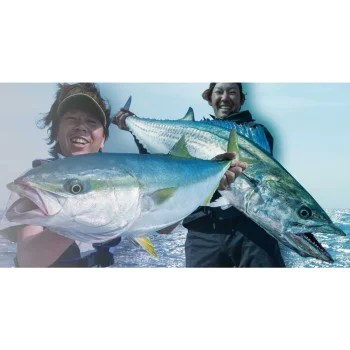 Воблер JACKALL Big Backer Anchopeed Slimlong 120mm 35g Sinking