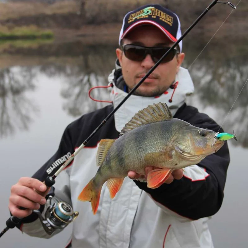 Воблер JACKALL iProp 75 SS MARUHATA Custom 75mm 6.5g Slow Sinking