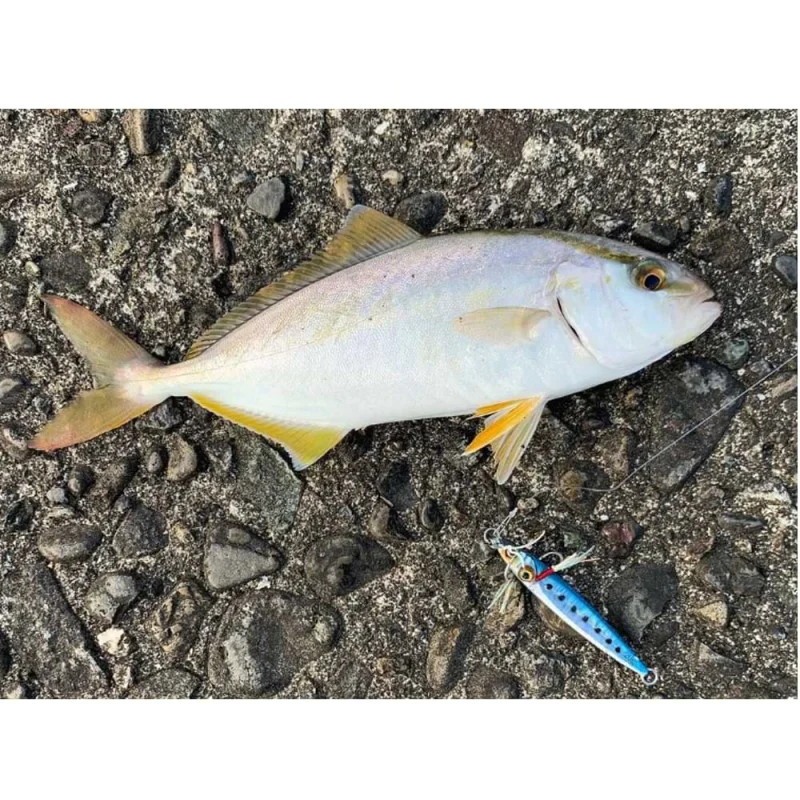 Джиг JACKALL Big Backer Fit Jig 39mm 5g