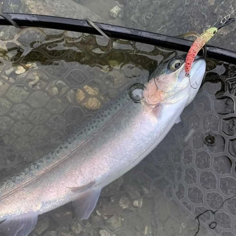 Воблер JACKALL Pepino MR 56mm 2.4g Floating