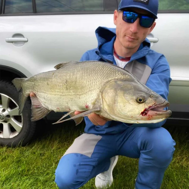 Воблер JACKALL Riser Bait 006 65mm 16g Sinking