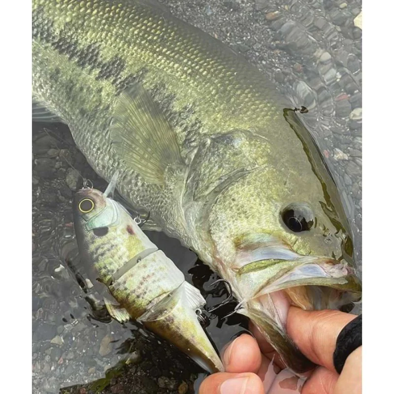 Воблер JACKALL Swing Mikey 115 115mm 28.5g Floating