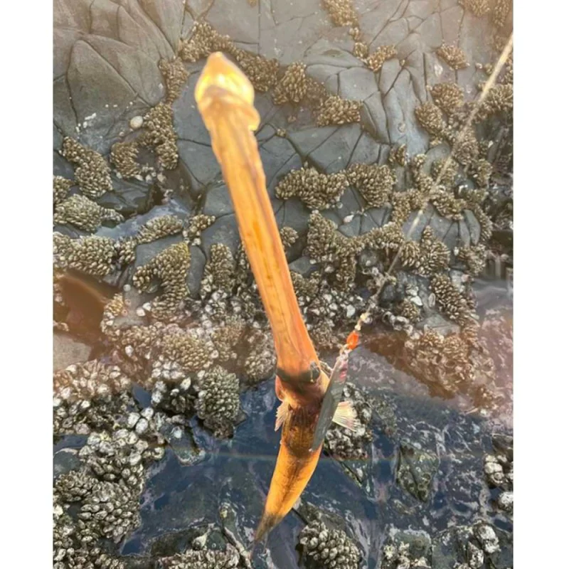 Джиг JACKALL CiAN Jig Default 174mm 115g