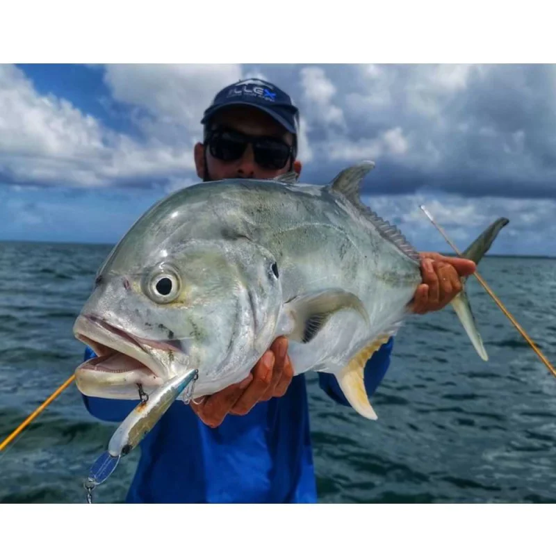 Воблер JACKALL Riser Bait 008 80mm 21.7g Sinking