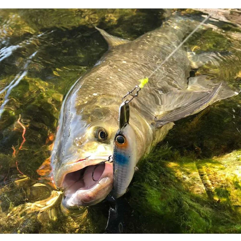 Воблер JACKALL Riser Bait 008 80mm 21.7g Sinking