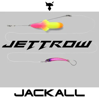 Изкуствена примамка JACKALL Jettrow 45g Sinking