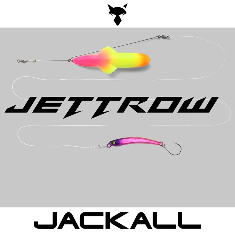 Изкуствена примамка JACKALL Jettrow 45g Sinking