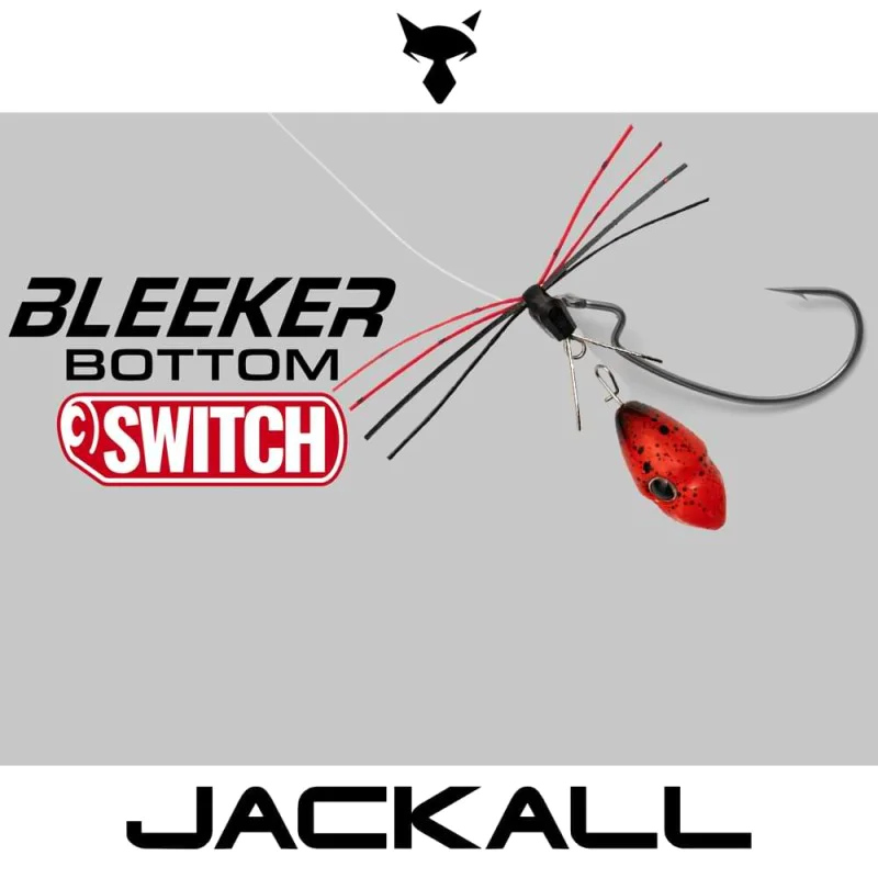 Изкуствена примамка JACKALL Bleeker Bottom Switch 5g