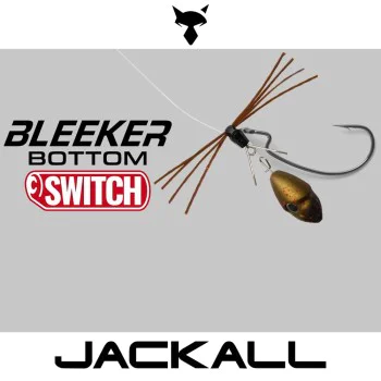 Изкуствена примамка JACKALL Bleeker Bottom Switch 7g