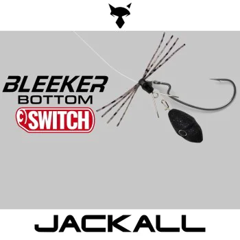 Изкуствена примамка JACKALL Bleeker Bottom Switch 14g