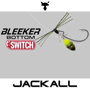 Изкуствена примамка JACKALL Bleeker Bottom Switch 10g