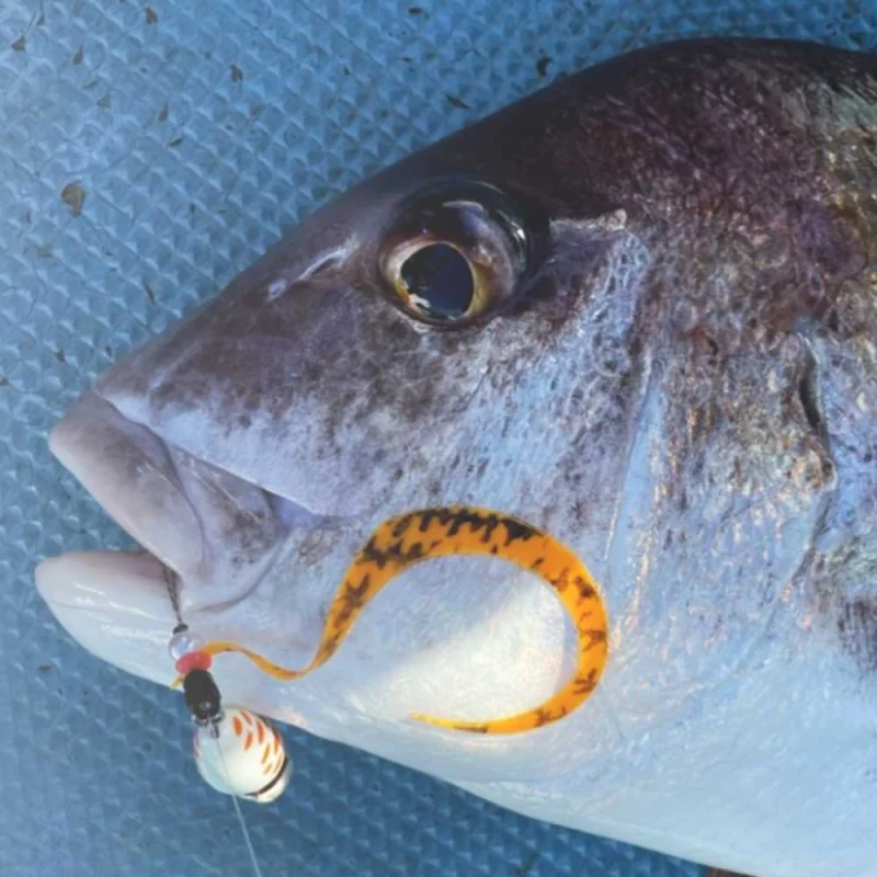 Силиконова примамка за Tai Rubber JACKALL BIN-BIN Switch T+Necktie Master Curly