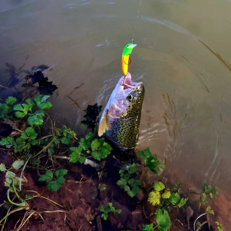 Воблер JACKALL Pepino SR 56mm 2.2g Floating