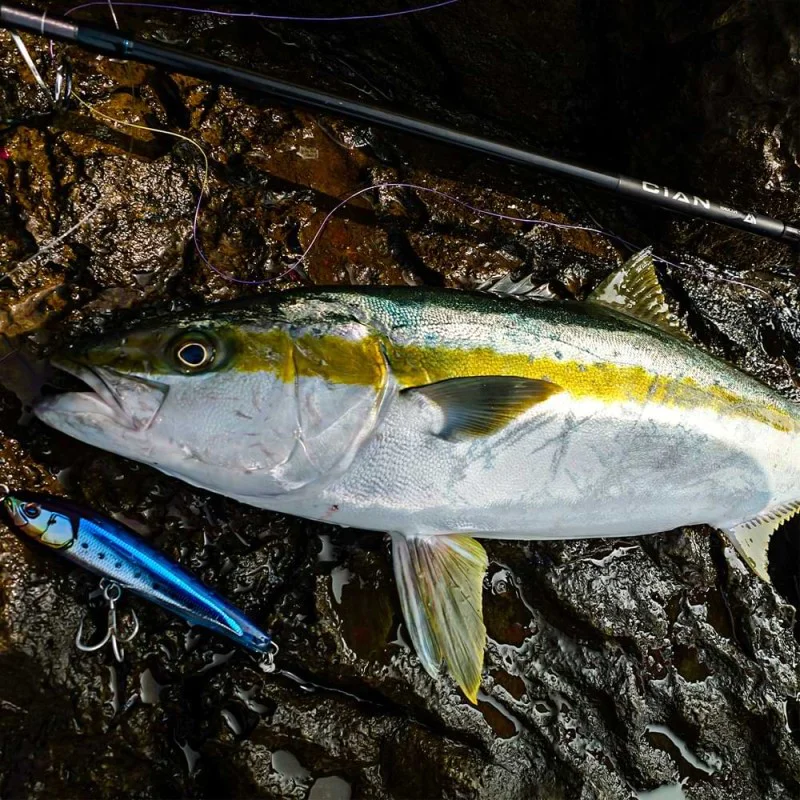 Воблер JACKALL CiAN Pencil Serpens 160F 160mm 40g Floating