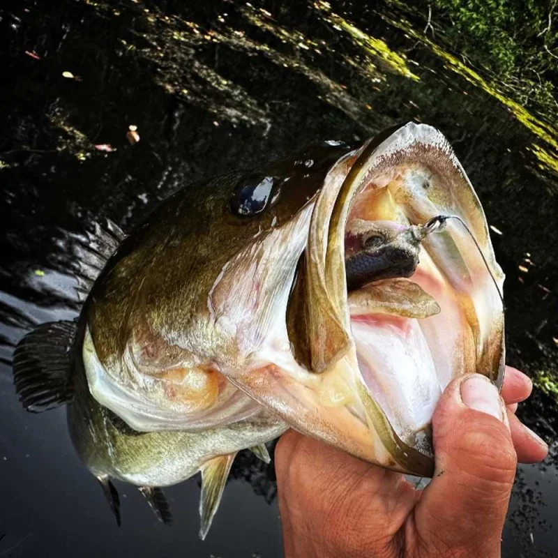 Силиконова примамка JACKALL Kaera Frog 55mm 12.5g Floating