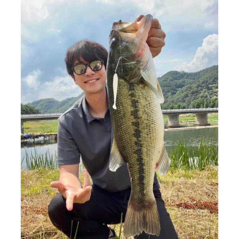 Силиконови примамки JACKALL Peaceton Shad 2.8 inch