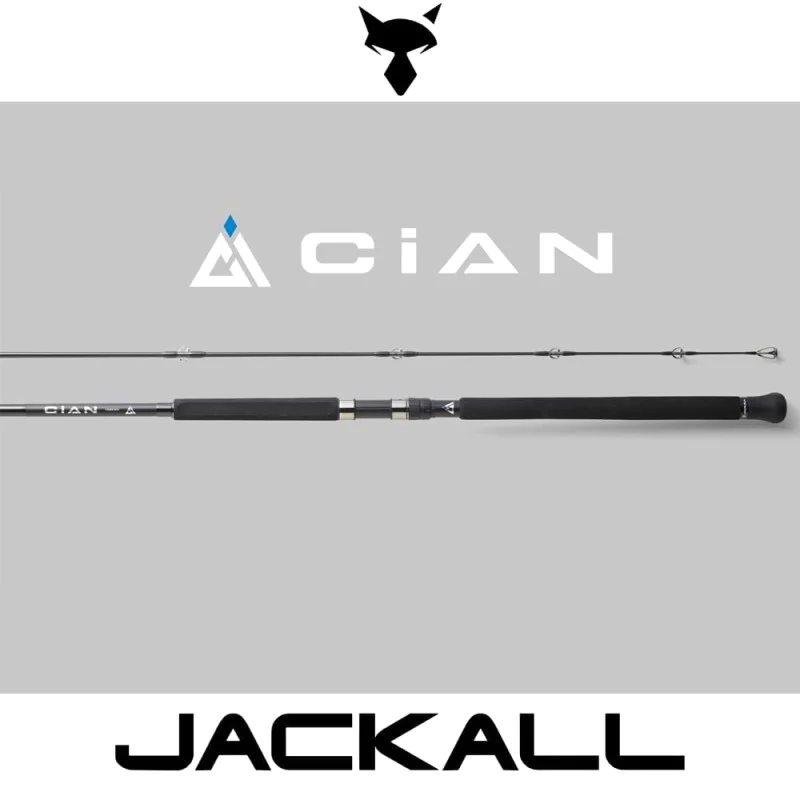 Спининг въдица JACKALL CiAN 96XXXH 290cm 200g