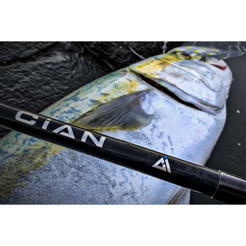 Спининг въдица JACKALL CiAN 96XXXH 290cm 200g