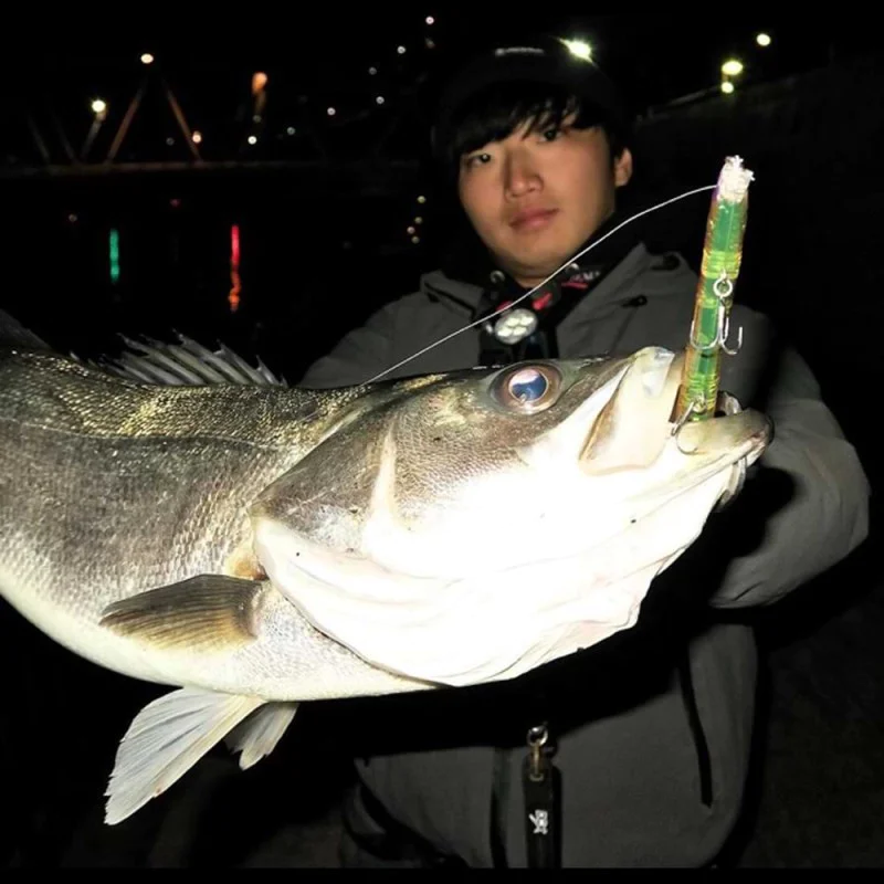 Воблер JACKALL Hiei 123SF 123mm 11.2g Slow Floating