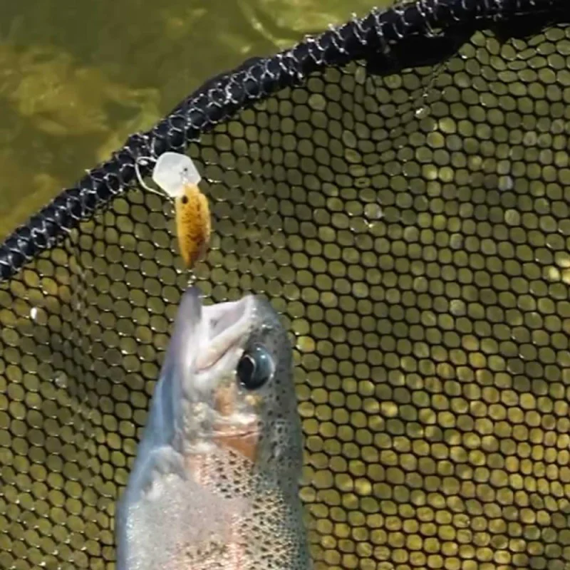 Воблер JACKALL Buri Buri Minnow HF Rattle 40mm 2.1g Floating