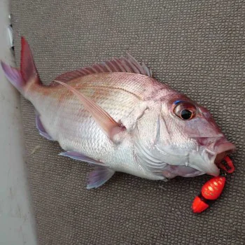 Куки за Tai Rubber JACKALL BIN-BIN Hook Muso Assistplus 3 Hook