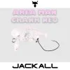 Воблер JACKALL Area Man Crank Neo 22F 22.3mm 1g Floating