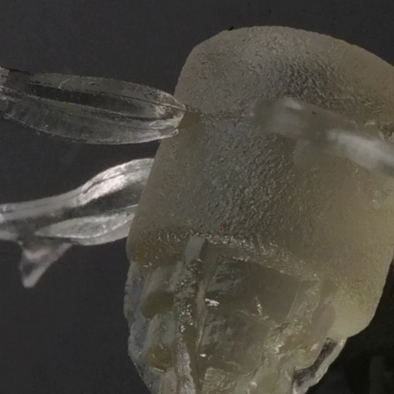 Силиконова примамка JACKALL Jimmy Henge 42mm 1.7g