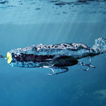 Попер JACKALL CiAN Popper Roar 200F 200mm 67g Floating