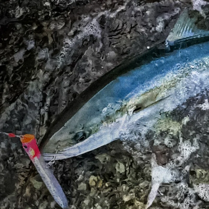 Попер JACKALL CiAN Popper Roar 200F 200mm 67g Floating