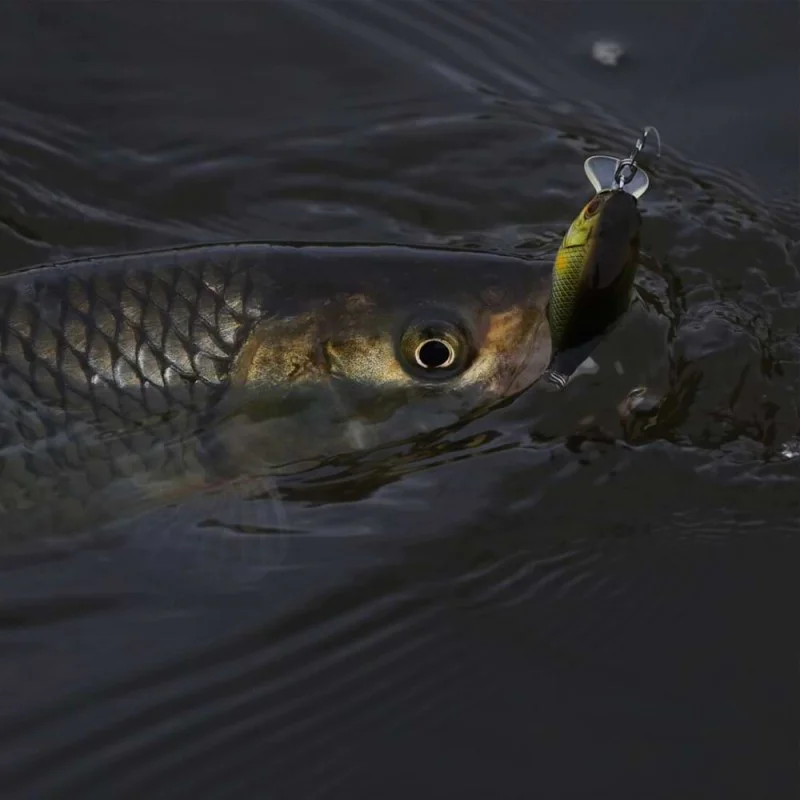 Воблер JACKALL Chubby 41F 41mm 5.5g Floating