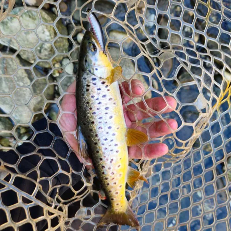 Воблер JACKALL Flat Fly 50SP 50mm 2.3g Suspending